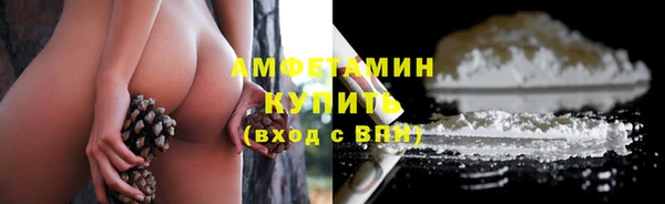 гидра Саяногорск