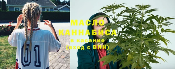 гидра Саяногорск