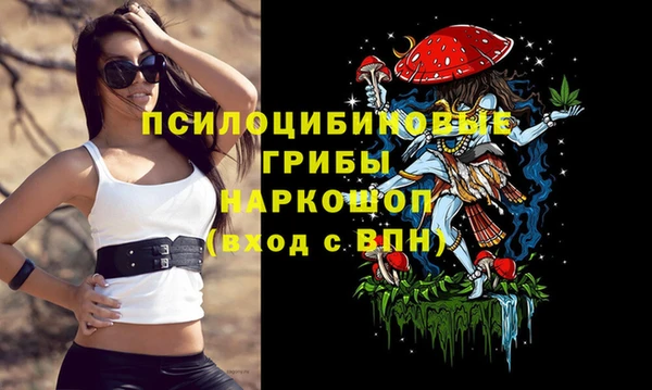 таблы Вяземский