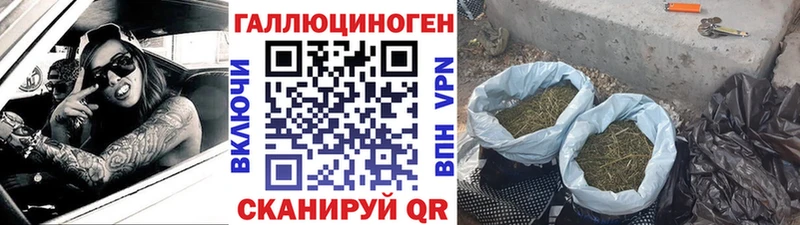 Галлюциногенные грибы Magic Shrooms  где можно купить наркотик  Артём 
